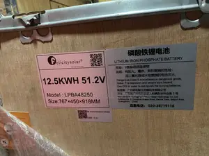 12.5kwh Lithium Ion Battery