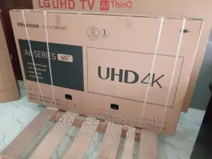 Durable Hisense 65" Smart TV