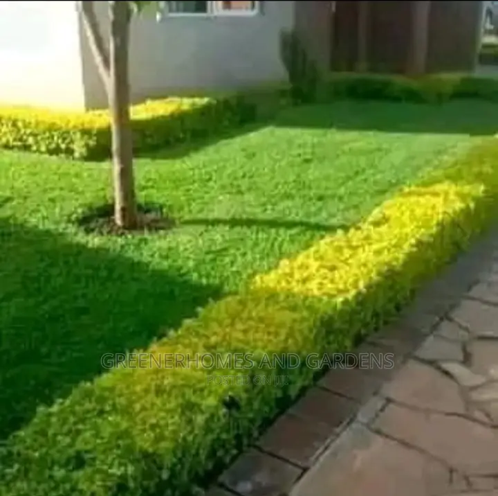Garden Design