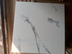 Bestwil Floor Tiles 60*60