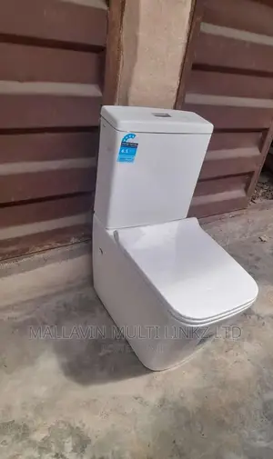 Modern Two Piece Toilet Seats With Basin
