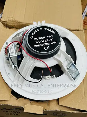 Original 15watts Ceiling Speakers