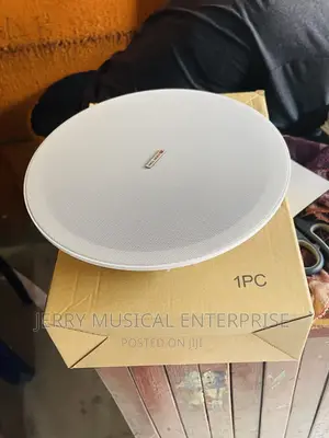 40watts Lucky Tone Ceiling Speakers