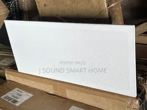 Tuya/Alexa Smart in Wall Amplifier