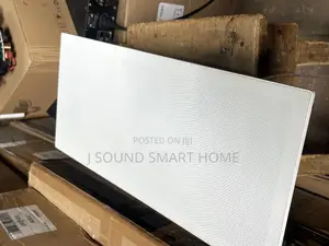 Tuya/Alexa Smart in Wall Amplifier