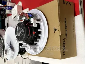 30watts Tundra Ceiling Speakers