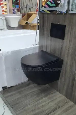 Concealed Toilet (Wall Hunged Wc Round Black)