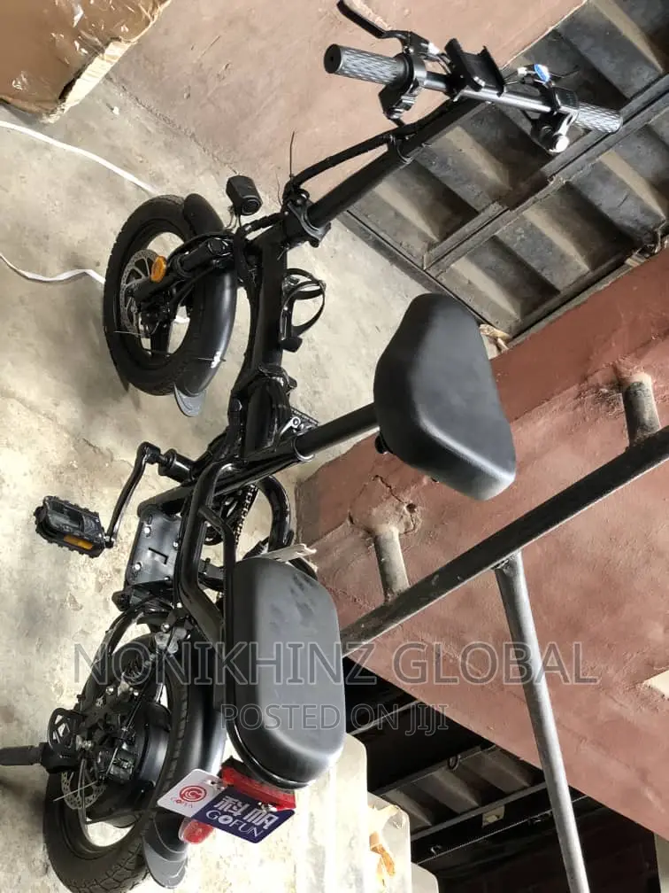 Aluminum Rechargeable Bicycle
