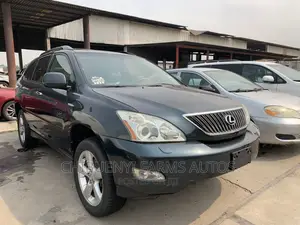 Lexus RX 330 2005 Gray