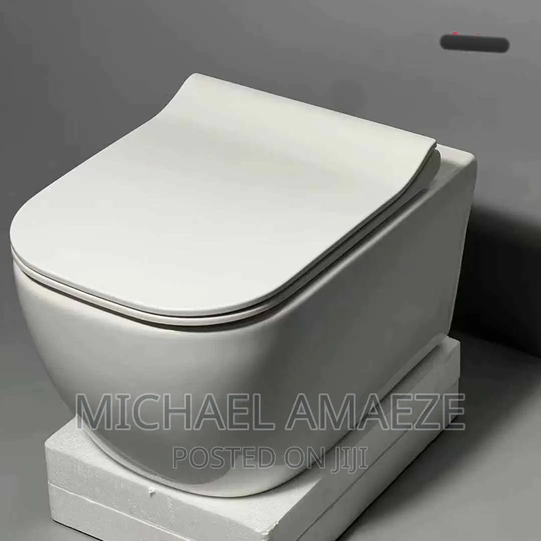 Original White Wall Hung Concealed WC