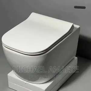 Original White Wall Hung Concealed WC