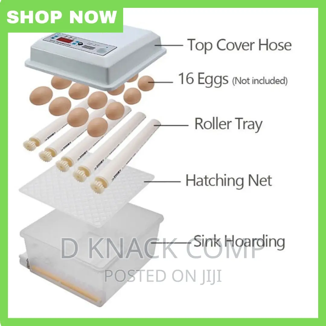 AC and 12v 16 Egg Incubator, Poultry Brooder Machine