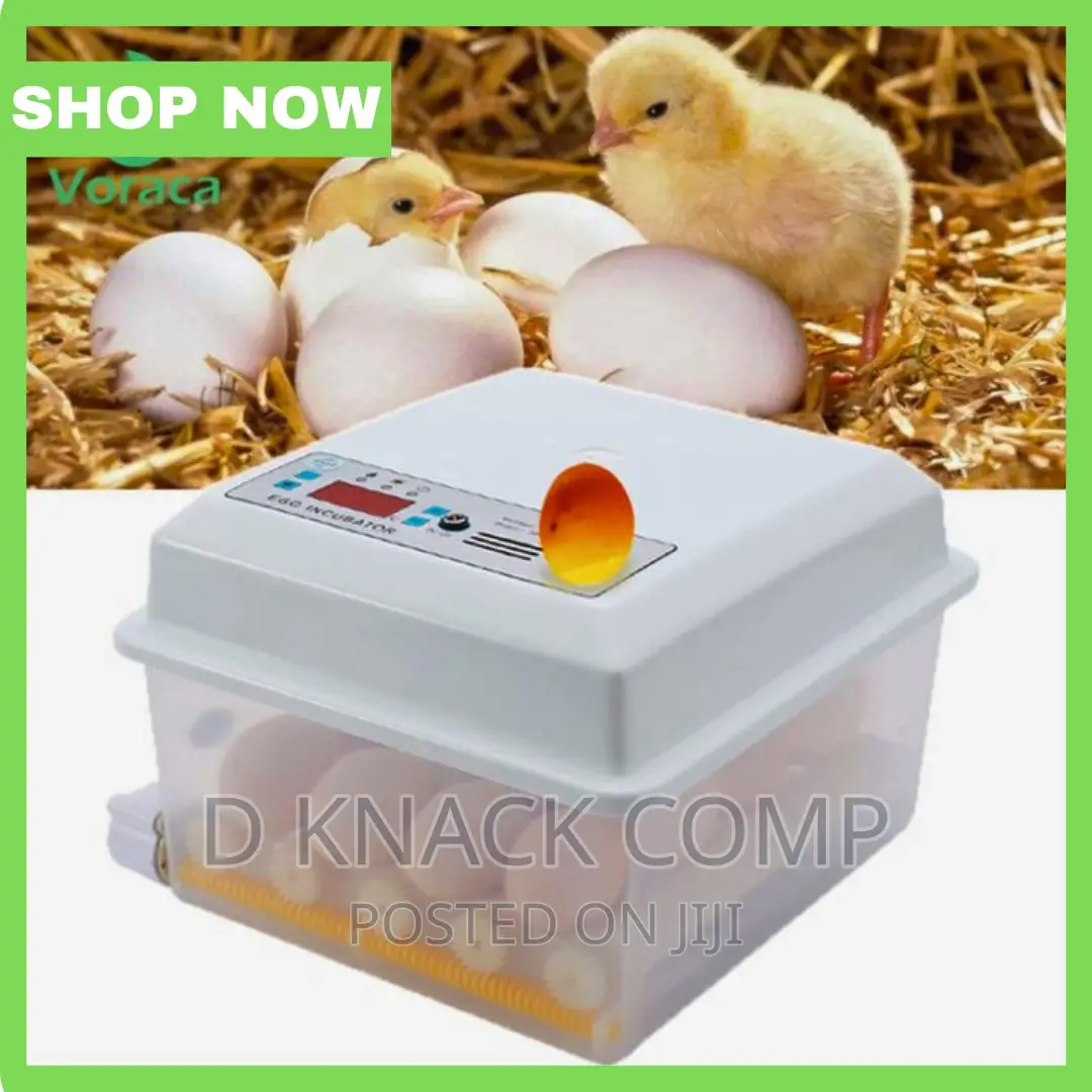 AC and 12v 16 Egg Incubator, Poultry Brooder Machine