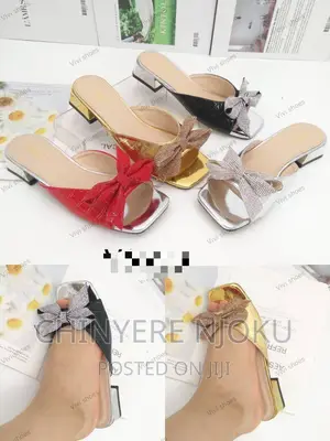 Slippers Shoe