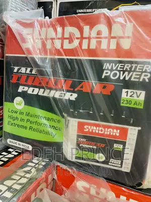 220ah Syndian Battery