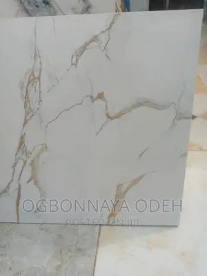 60 X 60 Super Polish Italian Virony Carton
