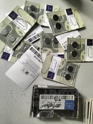 Mercedes Benz Remote Key Double Battery