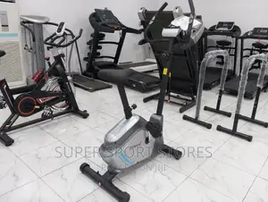 Gymax Magnetic Bike