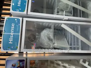 385 Litters Hisense Chiller