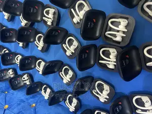 Beats Powerbeats Pro Wireless Earbuds