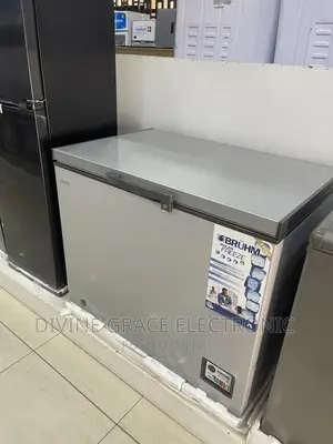 310 Liters Bruhm Chest Freezer