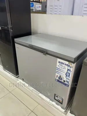 310 Liters Bruhm Chest Freezer