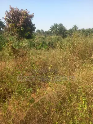 Acres of Land Along Osogbo Iragbiji Road Facing Main Road
