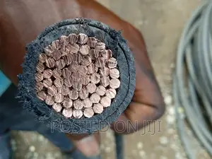 300mmx1core High Quality PVC/PVC Electrical Cable