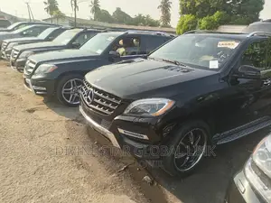 Mercedes-Benz M Class 2014 Black