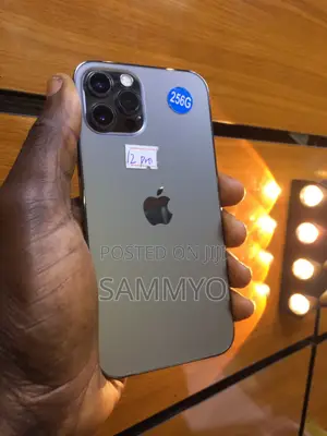 Apple iPhone 12 Pro 256 GB Gray