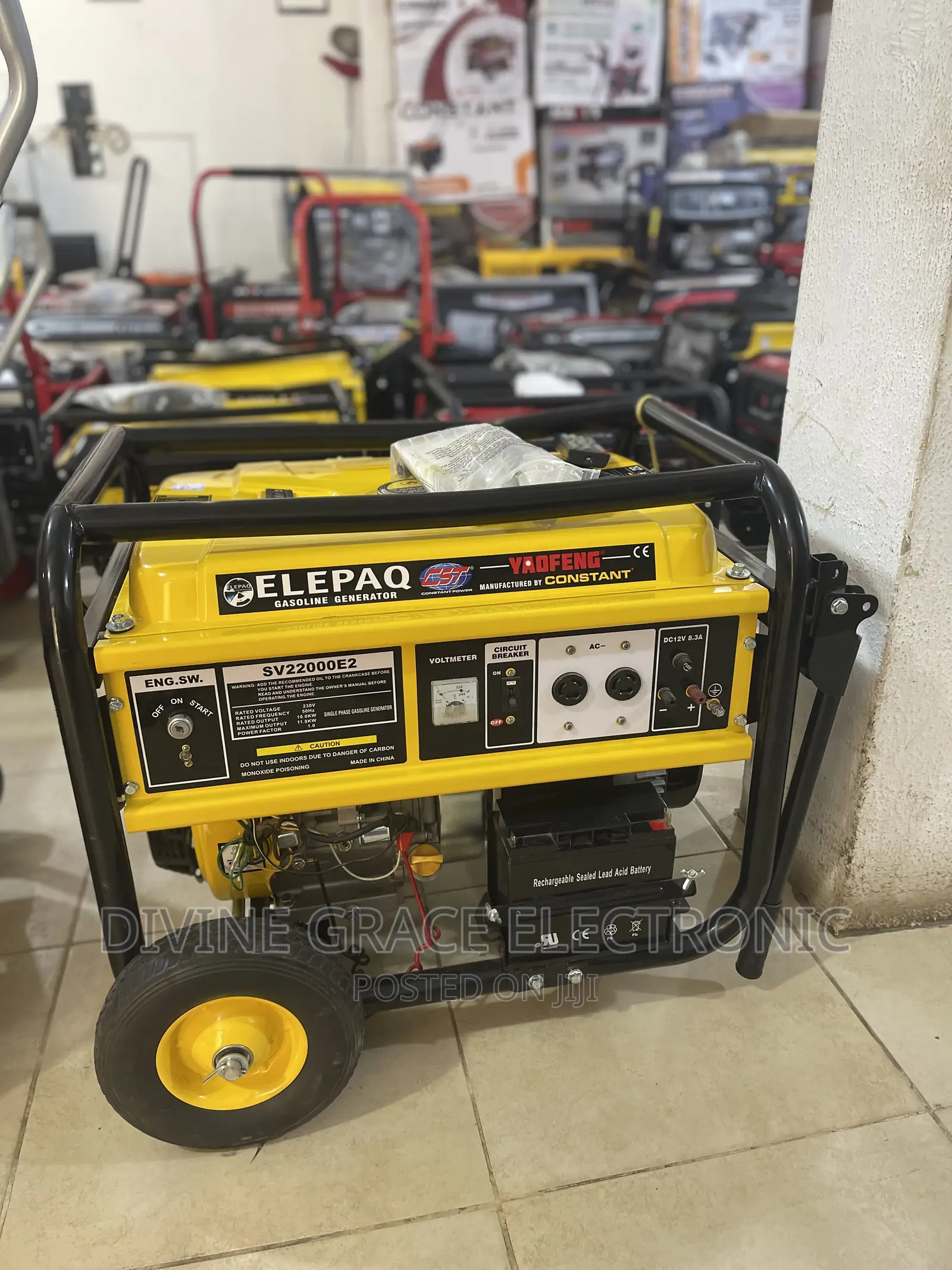 10kva Constant Elepaq Generator