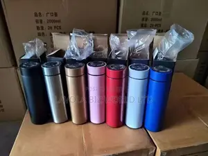 LED Thermo Flask Bottle