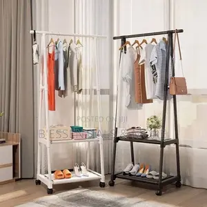 Clothes Hanger/Organizer