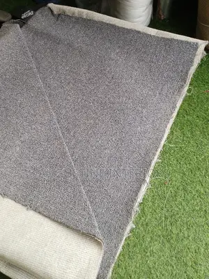 Quality Wall to Wall Rug Carpet Pleane Color