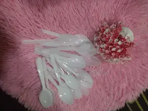 Disposable Plastic Spoon - 100pcs