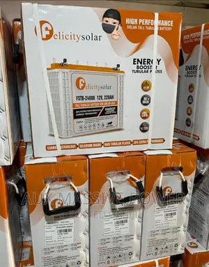 Felicity Tubular Battery