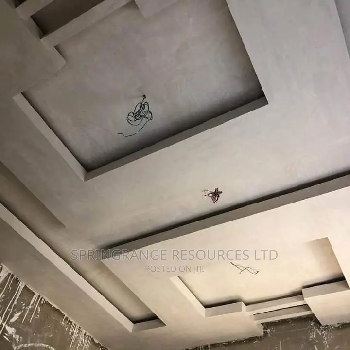 Exotic POP Ceiling Installation Services 
