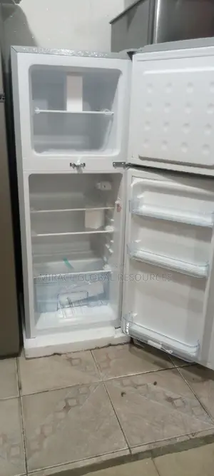 Skyrun Refrigerator Double Door Low Voltage 118lt