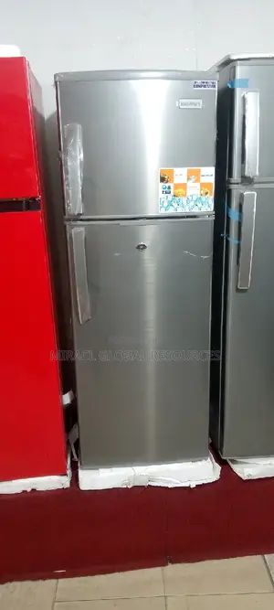 Skyrun Refrigerator Double Door Low Voltage