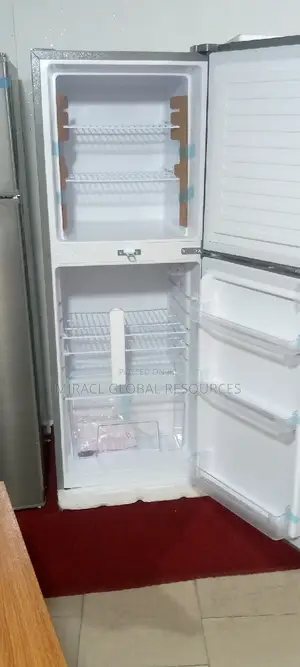 Skyrun Refrigerator Double Door Low Voltage