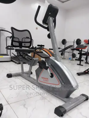 Luxury Recumbent Bike