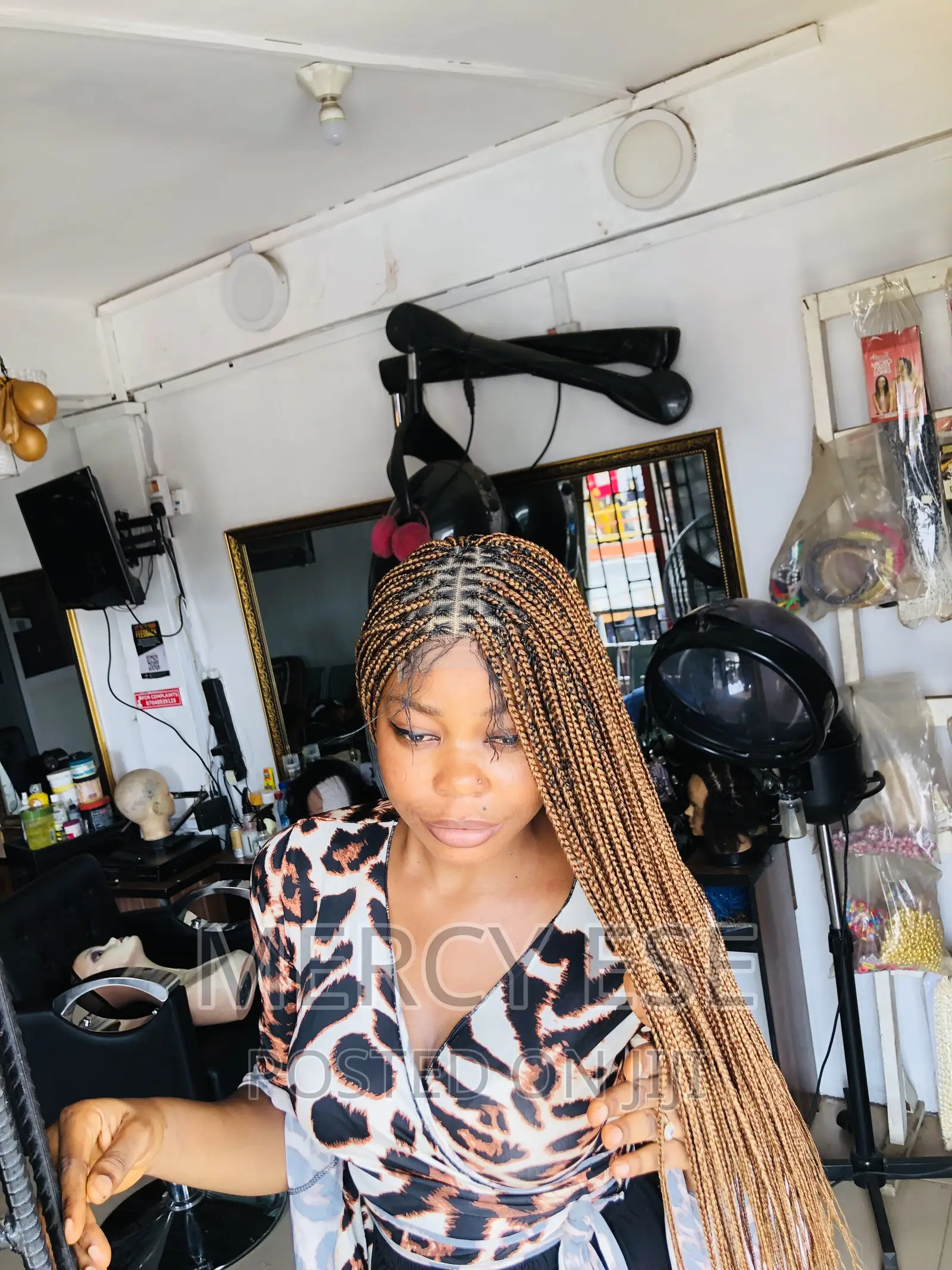 Beautiful Braided Wigs