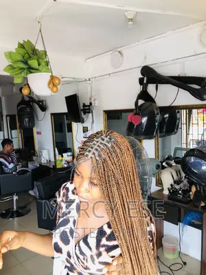 Beautiful Braided Wigs