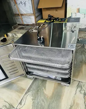 10 Tray High Quality Dehydrator