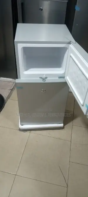 Skyrun Refrigerator Double Door Low Voltage