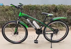 Green Maybate Adult Bike
