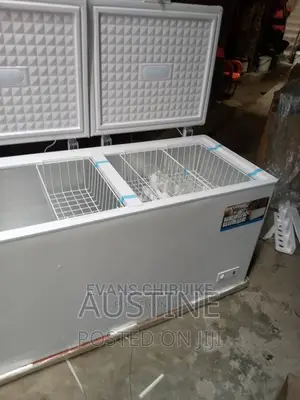 Brand New Skyrun 550litter Double Door Chest Freezer>Extenal