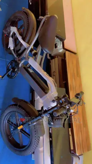 Electric Bicycle