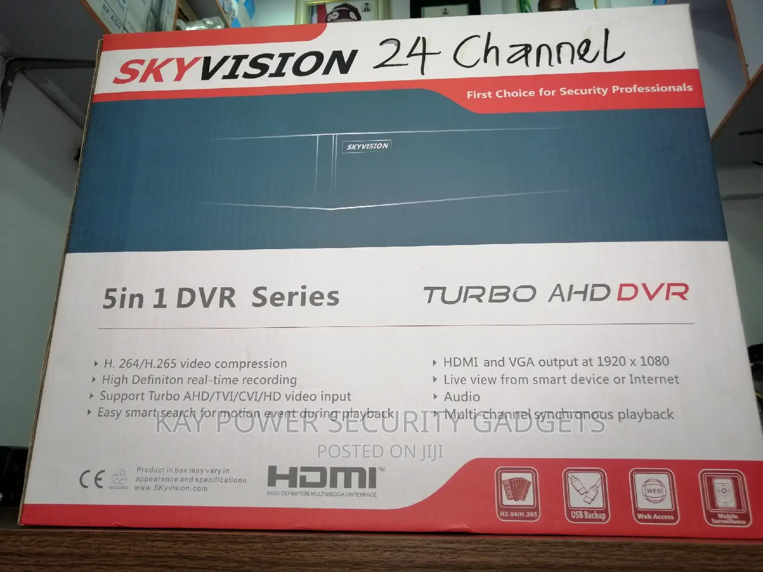 Skyvision 24 Channel DVR
