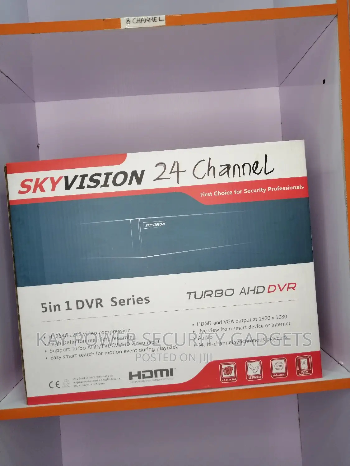 Skyvision 24 Channel DVR